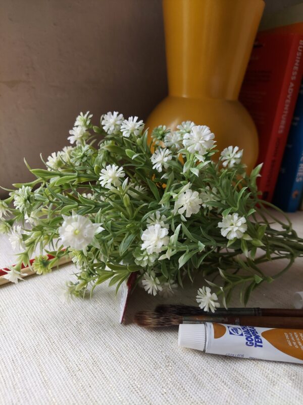 Zinnia