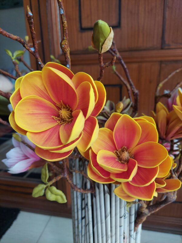 Cosmos